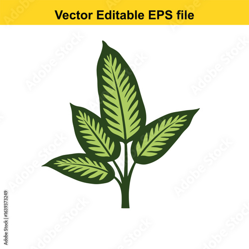 Indoor plant vector art of green plant leaf isolated on white background