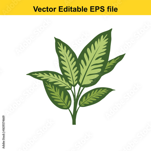 Indoor plant vector art of green plant with patterned leaves isolated on white background
