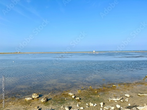 sea and beach at la franqui in France