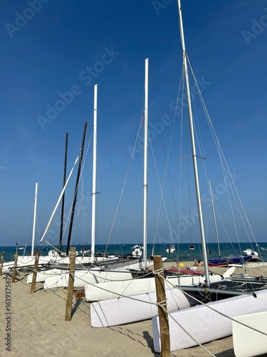 sailing boats on the beach