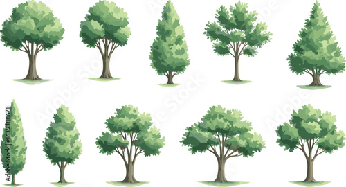 Tree illustration set, green foliage, brown trunks, botanical variety, nature clipart, educational graphic, forest elements, landscape design, plant species, eco art