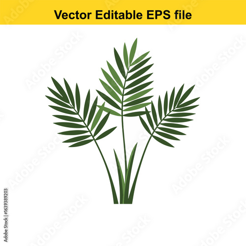 Indoor plant vector art of green palm leaves isolated on white background