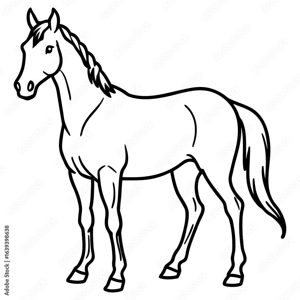 Obraz premium Horse standing isolated on white background