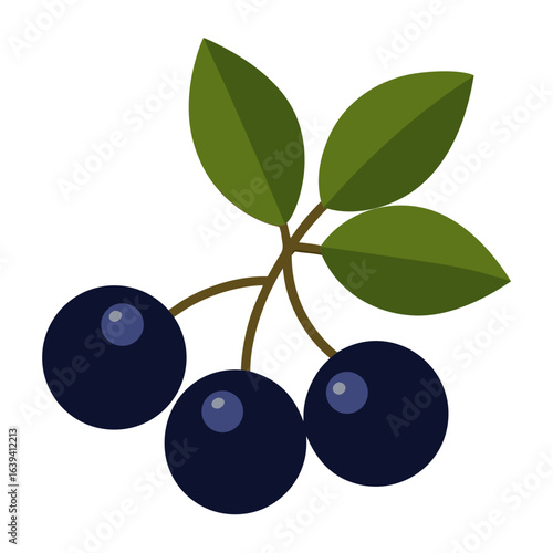 black currant isolated on white