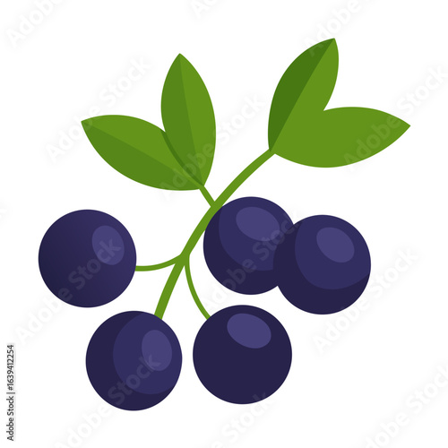black currant isolated on white background