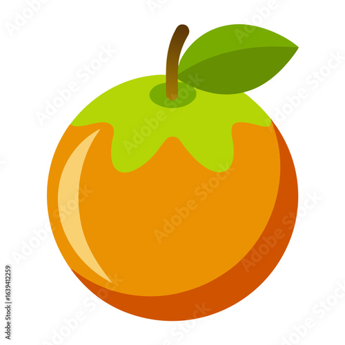 vector illustration of an orange