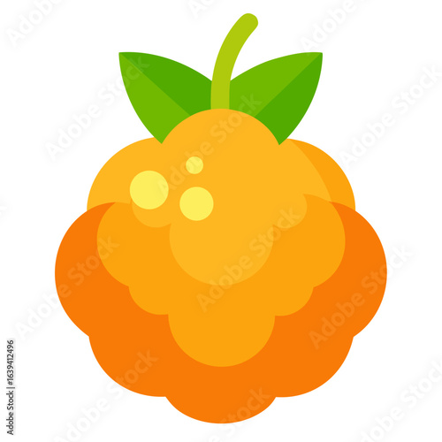 vector illustration of an orange fruit