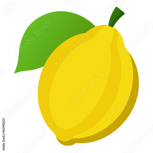 vector illustration of an orange fruit