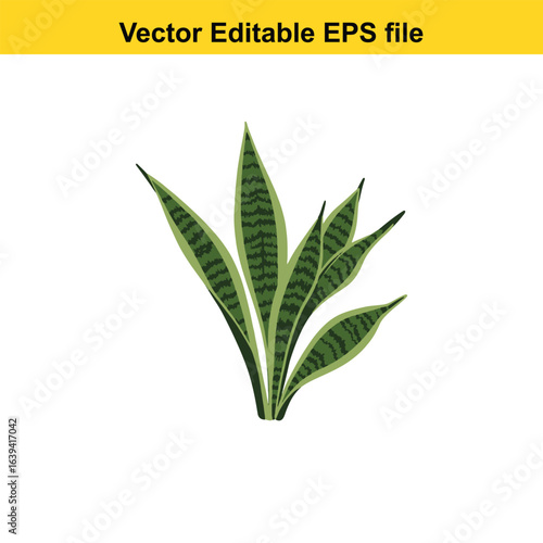 Indoor plant vector art of green snake plant leaf isolated on white background