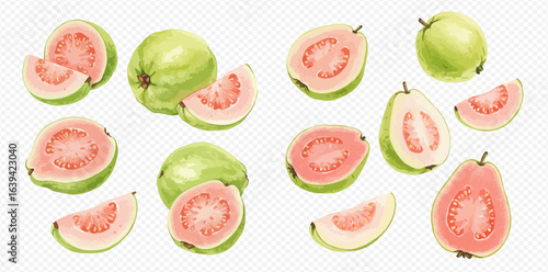 A collection of fresh pink guavas, shown whole, cut in half, and in slices on a transparent background.