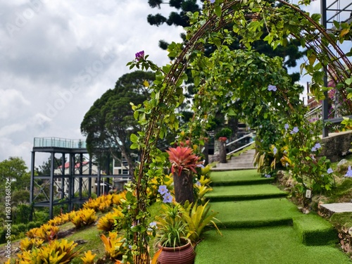 flowers in the garden