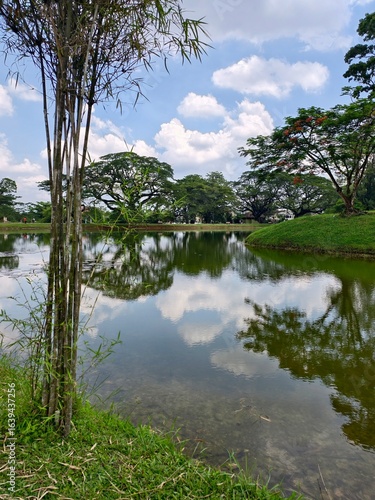 lake in the forest