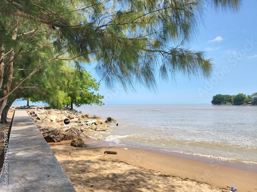 tropical beach with palm trees