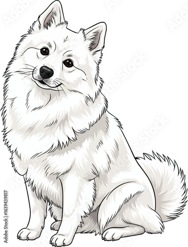 cute American Eskimo Dog posing adorably sitting vector illustration