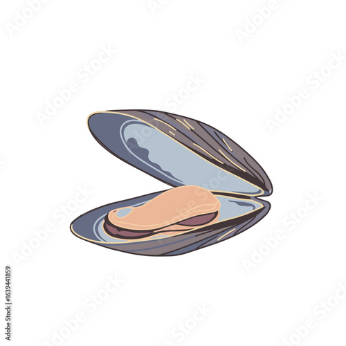 Open mussel shell with soft flesh visible inside isolated on transparent background 