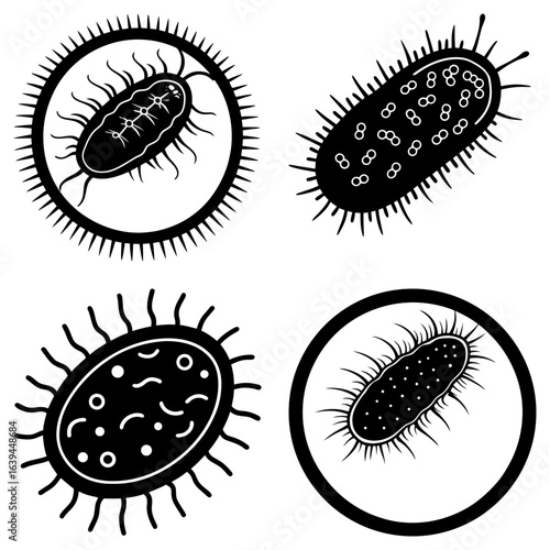 Illustration of four distinct bacteria types with varying shapes and internal structures displayed in black and white