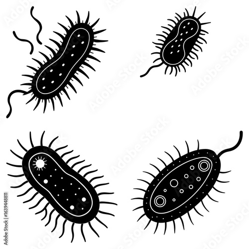 Illustration of four black and white bacteria cells with flagella and internal structures shown in detail
