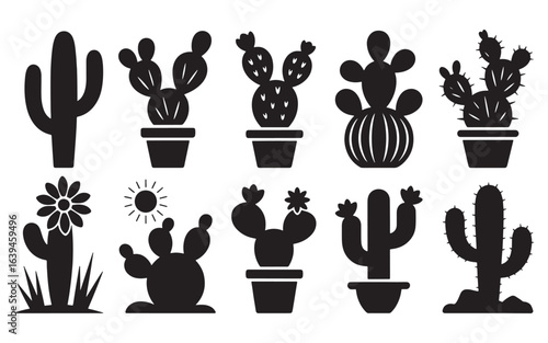 Diverse Cacti Collection With Sun And Flower cactus succulent