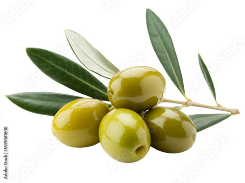 Four glossy green olives with leaves on a branch isolated on a transparent background olive branch