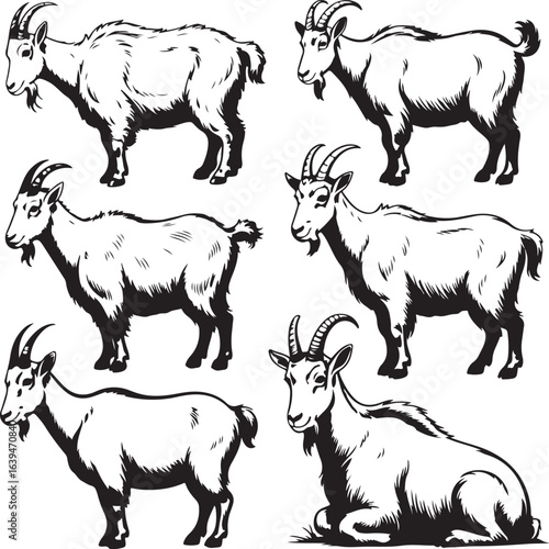 Six black and white line art drawings of goats in various poses animal farm