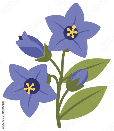 Bellflower vector illustration showing star-shaped purple blossoms with yellow stamens and green leaves in a minimal flat cartoon style suitable for floral crafts prints and packaging design