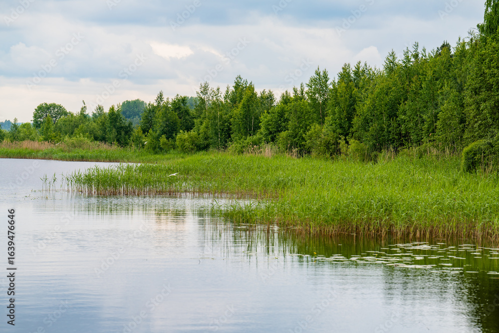 Fototapeta premium summer landscape with lake