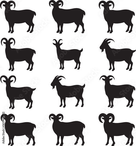 Twelve Black Goat Silhouettes In Different Poses On White Background animal