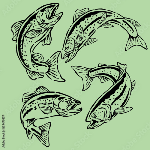 Trout Club Illustration. Trout Fishing Graphic for T-Shirt and Poster. Club fish lover. Detailed trout vector artwork.