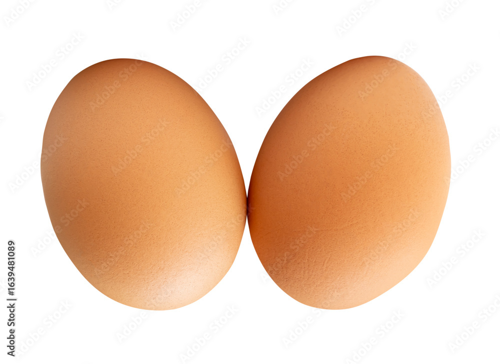 Side view of two fresh brown chicken eggs in stack isolated with clipping path in png file format Side view of two fresh brown chicken eggs in stack isolated with clipping path in png file format