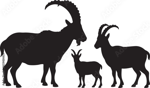 Silhouette of three ibex goats on a white background animal wildlife