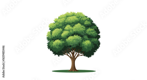 A vibrant illustration of a single large green deciduous tree with a full canopy of leaves, isolated on a white background, representing nature.