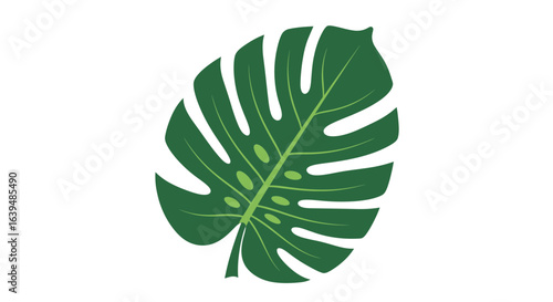 A flat vector illustration of a single green monstera leaf. A modern icon of tropical nature and minimalist botanical design