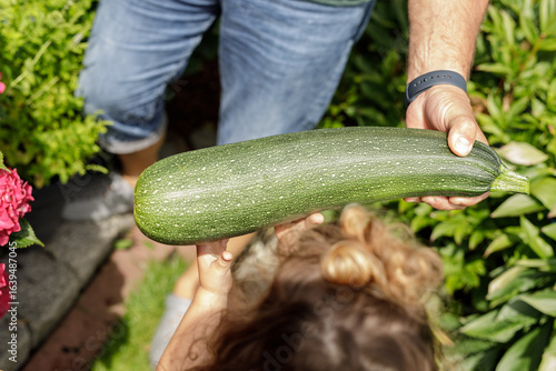 A child looks at a large zu...