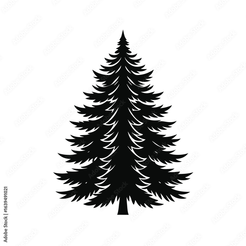 Obraz premium Pine Tree Evergreen Vector Silhouette On White Background