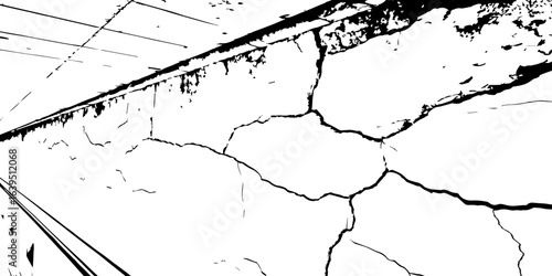 
Weathered plaster surface with spreading cracks and chipped paint; perfect for use in architectural renders or dark visual storytelling.

