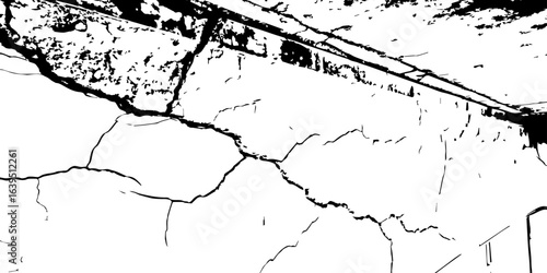 
Detailed wall texture with organic cracks and high-contrast grunge corners; useful for adding depth and realism to digital environments.

