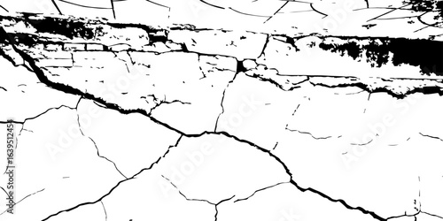 
Detailed wall texture with organic cracks and high-contrast grunge corners; useful for adding depth and realism to digital environments.

