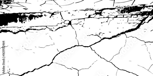 
Detailed wall texture with organic cracks and high-contrast grunge corners; useful for adding depth and realism to digital environments.

