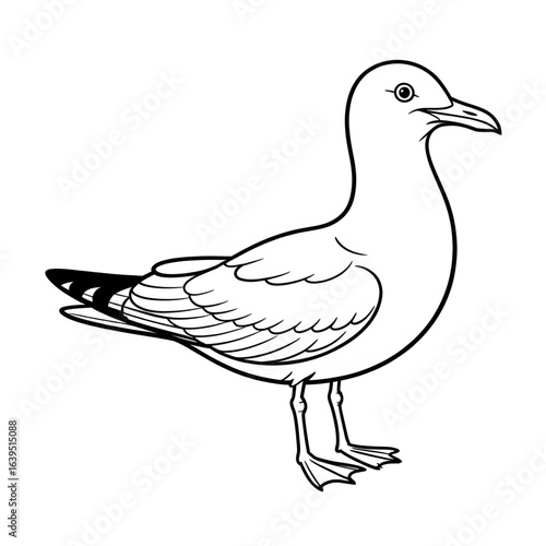 A black and white seagull illustration line art of a coloring page 