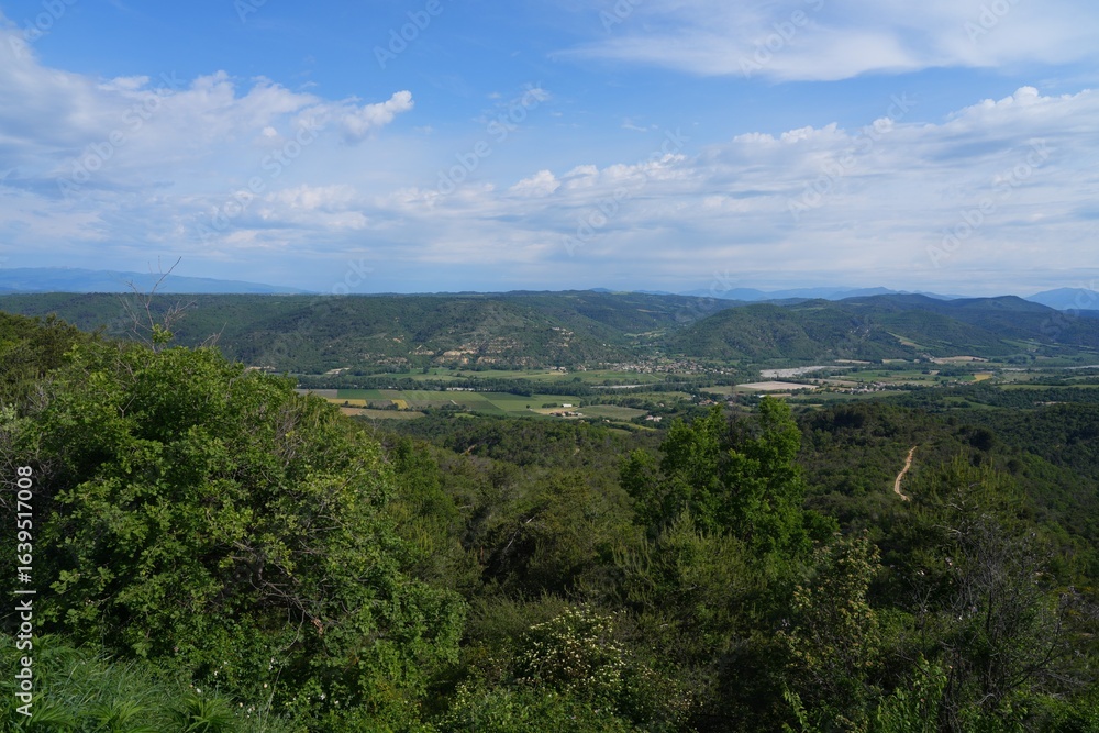 Fototapeta premium Landscape view of Valensole, a plateau in the Alpes-de-Haute-Provence department of Provence Alpes Cote d'Azur, France, renowned for its lavender fields