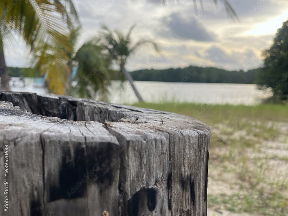 Fototapeta premium wooden boat bridge