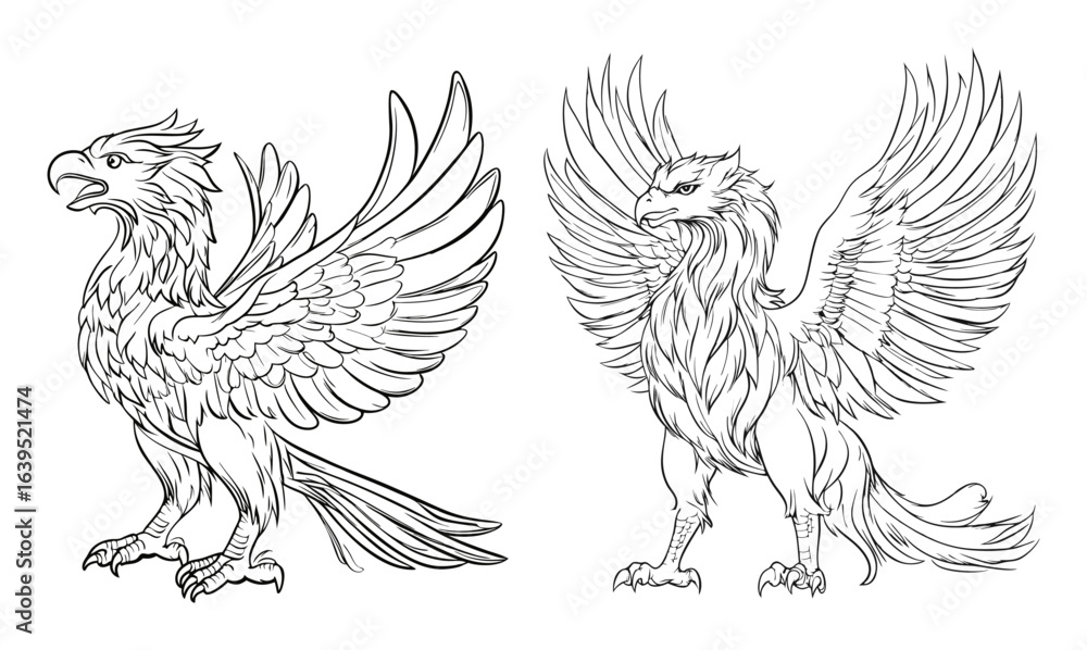 Fototapeta premium Outline drawing of a griffin with wings spread Vector design Heraldic Griffin Line Drawing Vector on White Background