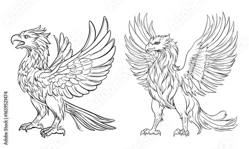Outline drawing of a griffin with wings spread Vector design Heraldic Griffin Line Drawing Vector on White Background