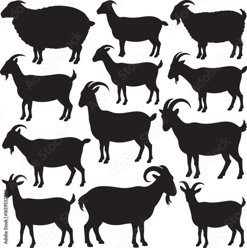 Collection of black goat and sheep silhouettes standing and grazing on white background animal farm