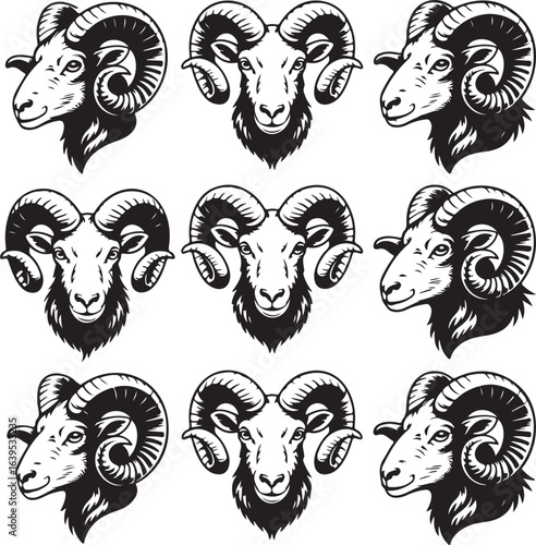 Nine black and white illustrations of ram heads with curly horns sheep