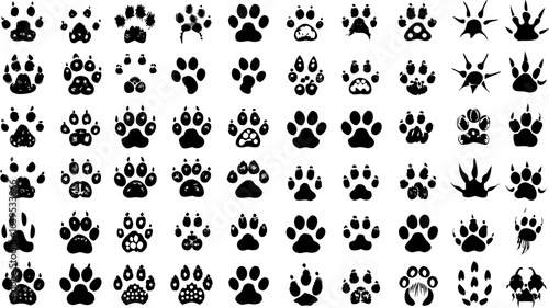 Collection of various animal paw prints in black silhouette on a white background showing different species