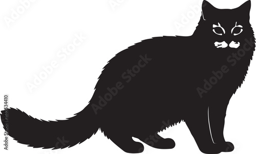 Siberian cat full image in silhouette image white background.
