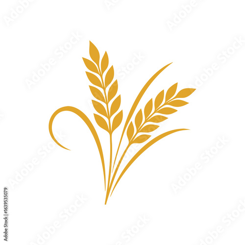 Golden Wheat Stalks Isolated on White Background Symbolizing Agriculture Harvest and Natural Organic Food Production Wheat Ears Graphic Element for Design