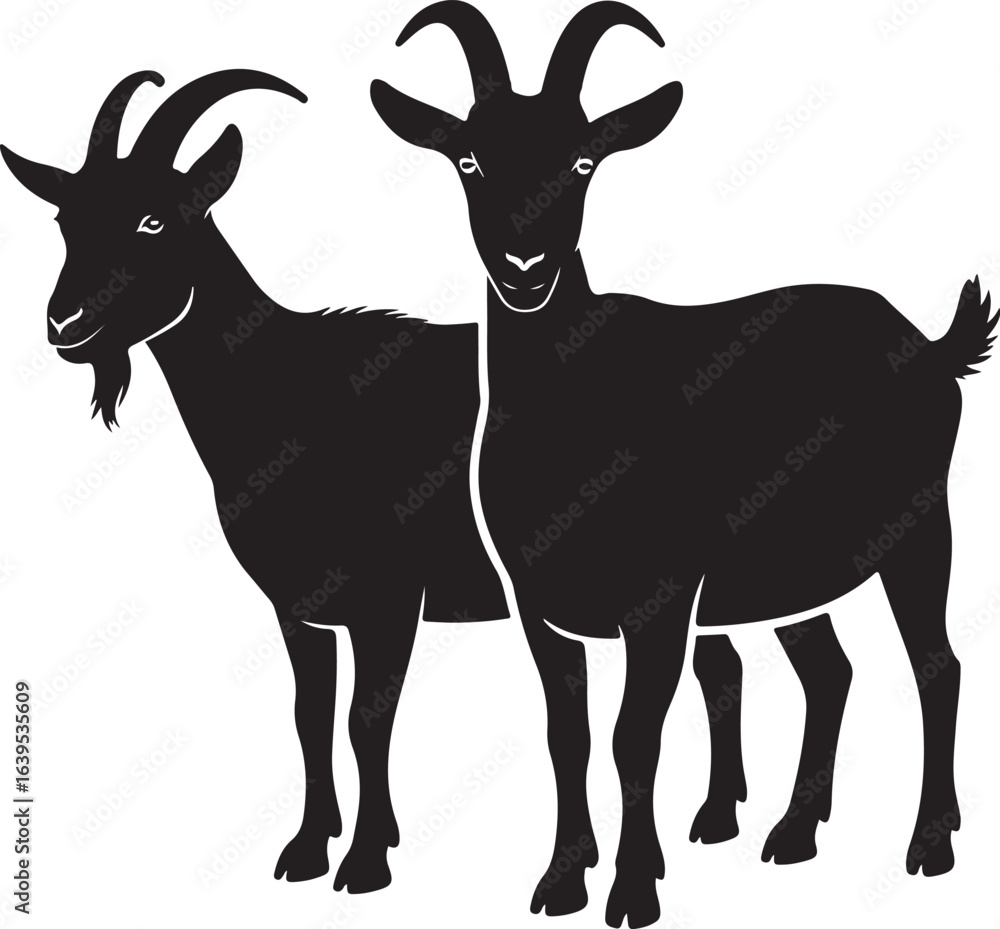 Obraz premium Two Black Silhouette Goats Standing Side By Side On White Background animal farm
