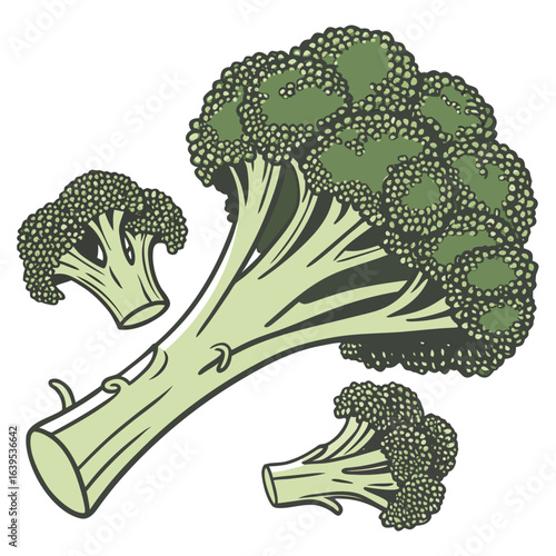 Green broccoli florets and stalks vegetable food